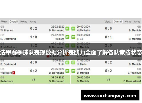 法甲赛季球队表现数据分析表助力全面了解各队竞技状态