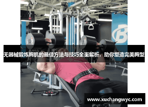无器械锻炼胸肌的最佳方法与技巧全面解析，助你塑造完美胸型