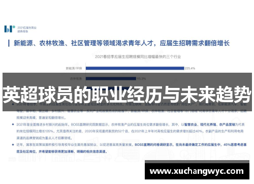 英超球员的职业经历与未来趋势